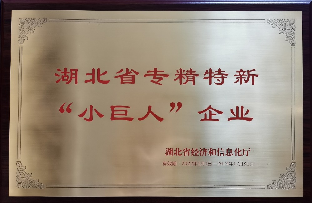 湖北震序車船科技股份有限公司獲湖北省專精特新“小巨人”企業(yè)稱號(hào)